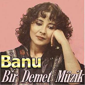 Bir Demet Müzik album cover