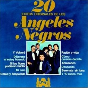 20 Exitos Originales De Los Ángeles Negros album cover