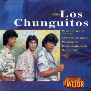 Simplemente Lo Mejor album cover