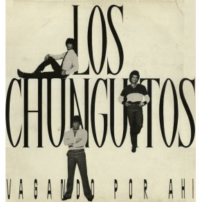 Vagando Por Ahi album cover