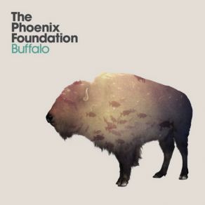 Buffalo album cover