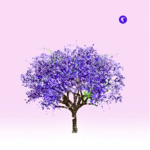 Tomorrow Morning (CD1)  album cover