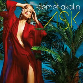 Aşk  album cover