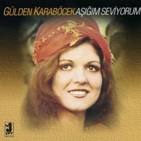 Aşığım Seviyorum album cover