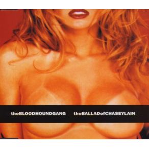 The Ballad Of Chasey Lain album cover