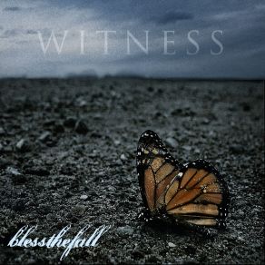 Witness album cover