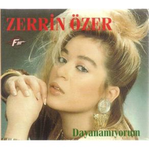 Dayanamıyorum album cover