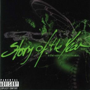 In The Wake Of Determination album cover