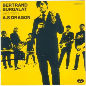 Bertrand Burgalat Meets A. S Dragon album cover