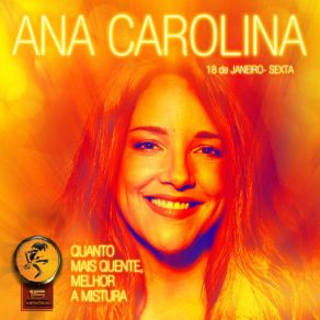 Festival De Verão 2013 album cover
