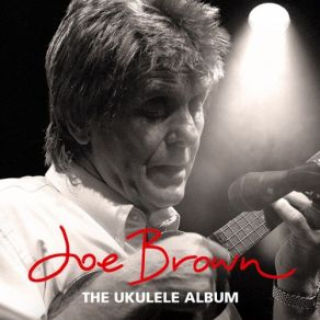 The Ukulele Album album cover