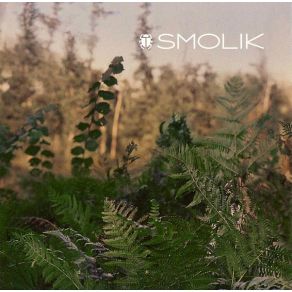 Smolik 2 album cover