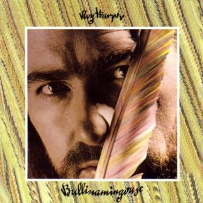Bullinamingvase album cover