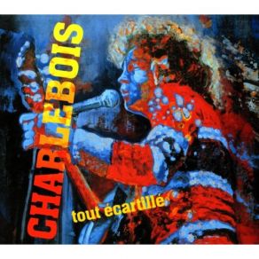 Les Grands Succès De Robert Charlebois album cover