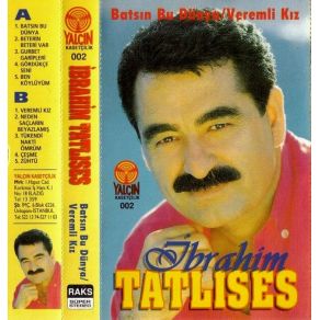 Veremli Kız album cover