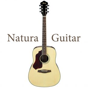 Natura Guitar album cover