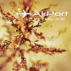In The Air (Single) album cover