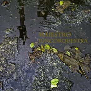 Maiestro album cover