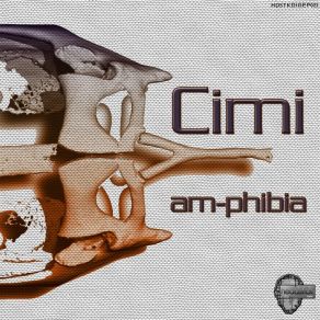 Am - Phibia album cover