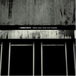 Where Once Were Exit Wounds album cover