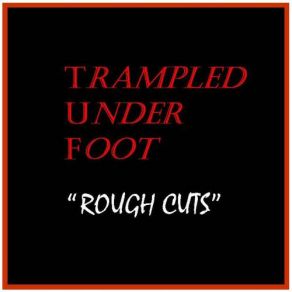 Rough Cuts album cover