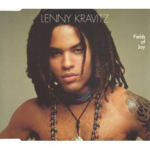 Fields Of Joy album cover