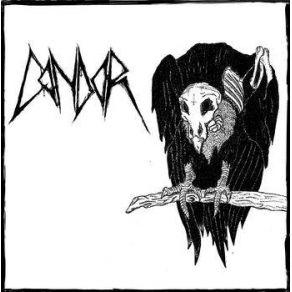 Condor album cover