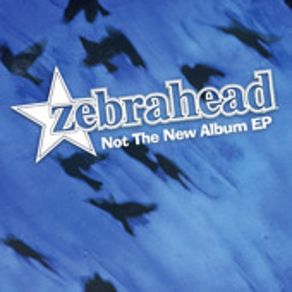Not The New Album album cover