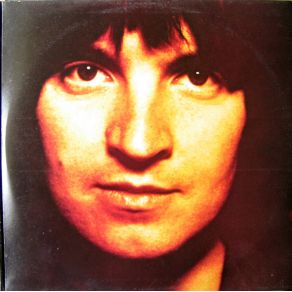 Terry Sylvester album cover