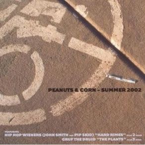 P & C Summer 2002 album cover