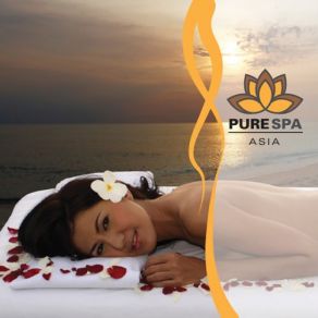 Pure Spa Asia album cover