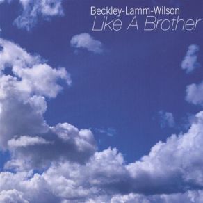 Like A Brother album cover