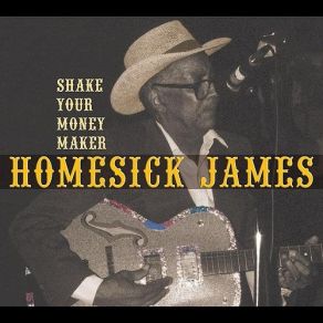 Shake Your Money Maker album cover