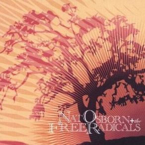 Nat Osborn & The Free Radicals album cover