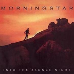 Into The Bronze Night album cover