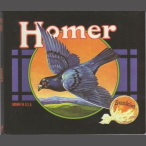 Grown In U. S. A album cover