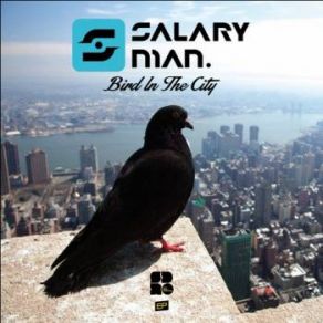 Bird In The City album cover