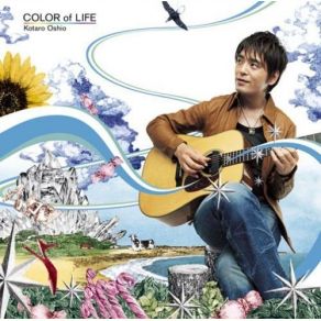 Color Of Life album cover