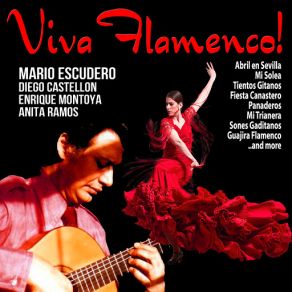 Viva Flamenco! album cover