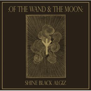 Shine Black Algiz album cover