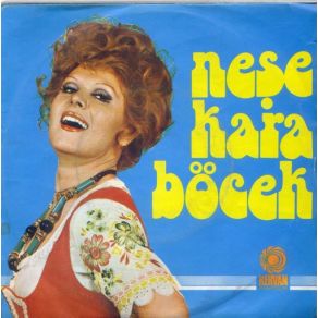 Arkadaş album cover