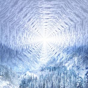 The Coyote album cover