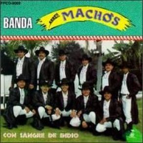 Con Sangre De Indio album cover