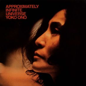 Approximately Infinite Universe (CD2) album cover
