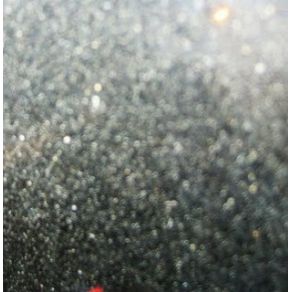 XA2010 album cover