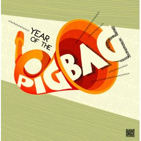 Year Of The Pigbag album cover