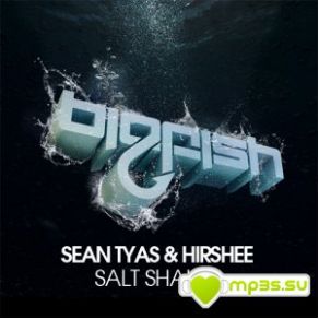 Salt Shaker (Single) album cover