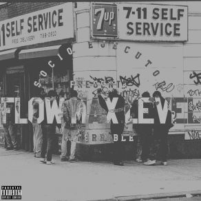 Flow Max Level album cover