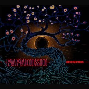 Observations album cover
