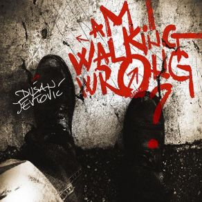 Am I Walking Wrong? album cover
